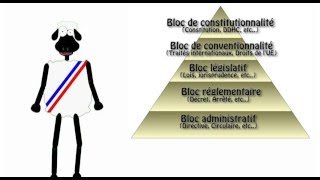 Mes Chers Moutons HS 3 Décret Circulaire Loi Arrêté etc cest quoi tout ça [upl. by Aynotan206]