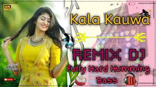 Kala Kauwa  Fully Humming Bass 2024  Mix New Dj Mix Top Viral Remix Song New Mix  Dj Nurman Remix [upl. by Doi999]