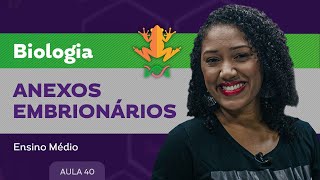 Anexos embrionários  Biologia  Ensino Médio [upl. by Animaj]