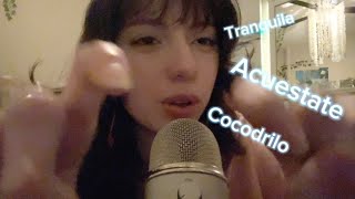 ASMR Clicky SPANISH Trigger Words  Hand Motions [upl. by Enyehc]