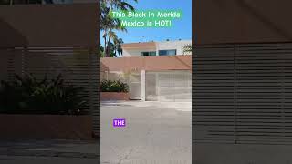 The Many Mansions Of Merida Mexico meridamexico movetomexico realestate [upl. by Ahtibbat]