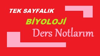 BİYOLOJİ Ders Notlarım [upl. by Larimer358]