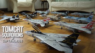 Tomcat Squadrons [upl. by Yeltsew]