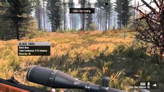 Cabelas Big Game Hunter PRO HUNTS  Northeast gameplay  Bear [upl. by Svoboda290]