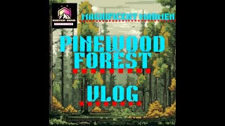 PINEWOOD FOREST VLOG CONTAINS STRONG LANGUAGE [upl. by Hephzipah75]