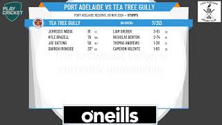 Port Adelaide v Tea Tree Gully [upl. by Radford822]