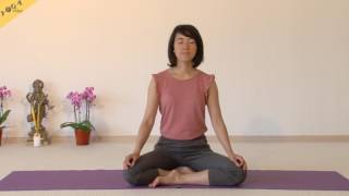 Meditation  Chidakash  Ajna Chakra with Dr Nalini and Thuy [upl. by Donelson]