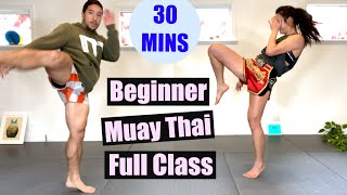 BEGINNER MUAY THAI  Full Class 30 Minutes  No Equipment [upl. by Lowenstern234]