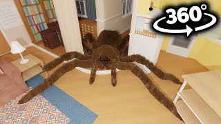 Spiders Breaks into Your House in 360° [upl. by Atlanta353]