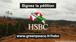 HSBC finance la déforestation [upl. by Toblat559]