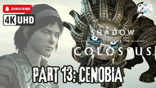 SHADOW OF THE COLOSSUS  Part 13 Cenobia [upl. by Adnarym640]