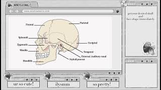 desired skull and face shape subliminal [upl. by Legir]