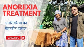 Anorexia  अपने पशुओं का बेहतरीन इलाज दें  Best Animal Treatment  Cattle and Buffalo [upl. by Eam]