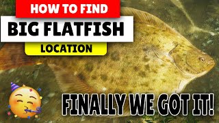 Assassins Creed Valhalla How to find BIG Flatfish  Best Locations [upl. by Ojimmas829]