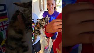 Parte 2 😺 RESCATE un GATITO de la CALLE adopta gatitos cute shorts viral funny rescateanimal [upl. by Boles926]