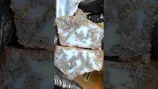 Cutting Boring Stone Reveals Moss Agate [upl. by Neelie]