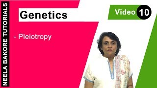 Genetics  Principles of Inheritance amp Variations  Pleiotropy  NEET  Neela Bakore Tutorials [upl. by Vance]