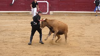 VAQUILLAS FIESTAS DE TAFALLA 2022 [upl. by Etsirhc947]