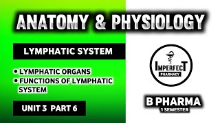 Lymphatic System  Lymph Nodes  Lymphatic Organs  Human Anatomy And Physiology  HAP [upl. by Aivirt204]