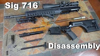 Sig Sauer 716 Disassembly [upl. by Ecerahc209]