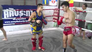 Professional Muay Thai Fighter Rungravee Training [upl. by Adda]