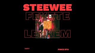 Steewee  Fekete a lelkem OFFICIAL AUDIO [upl. by Formica]