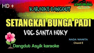 SETANGKAI BUNGA PADI  SANTA HOKY  KARAOKE DANGDUT  NADA WANITA [upl. by Llevron]