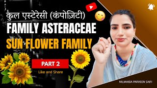 कुल एस्टेरेसी कंपोज़िटी  Family Asteraceae Compositae  Sunflower family  Part 2 [upl. by Eatnuhs64]