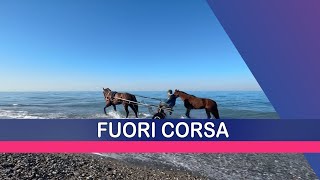 FUORI CORSA COSIMO E DONATO FIORE 22032024 [upl. by Ennalyrehc]