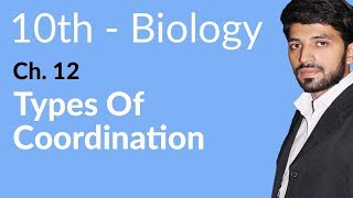 10th Class Biology Chapter 3  Types of Coordination  Class 10 Biology Chapter 12 [upl. by Maurice]