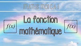 Quest ce quune fonction mathématique [upl. by Yreme110]