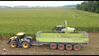 Eastside Dairy Corn Silage Harvest 2020 [upl. by Platas]