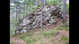 Gigantische Weltkatastrophe vernichtete Saurier Drachen und Co Teil 31 [upl. by Warder162]