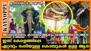 ഈരാറ്റുപേട്ട അയ്യപ്പന്റെ കഥ  full story  erattupetta ayyappan  kerala elephant  kayyoppu [upl. by Ahdar]