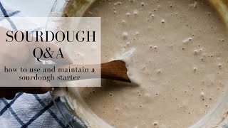 Sourdough Q amp A  SOURDOUGH STARTER GUIDE  Farmhouse on Boone [upl. by Valentin]