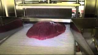 Full automatic Meat Tenderizer Tender Star [upl. by Htebezile621]