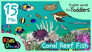 Coral Reef Fish  20 minutes Compilation  English Words for Toddlers  Kids Draw [upl. by Elana267]