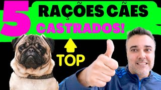 5 melhores RAÃ‡Ã•ES CÃƒES âœ… CASTRADOS âœ³ï¸ SÃ³ melhores [upl. by Prior613]