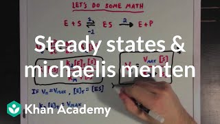 Steady states and the Michaelis Menten equation  Biomolecules  MCAT  Khan Academy [upl. by Olga144]