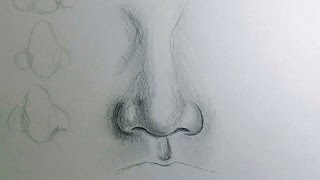 How to Draw a Nose [upl. by Purdy]