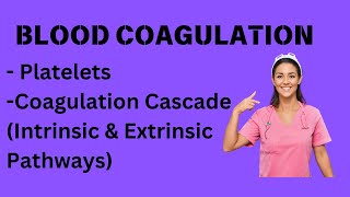 Blood coagulation Cascade  Platelets  Extrinsic and Intrinsic Pathway  Coagulation Cascade [upl. by Violette]