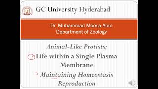 Protozoa Life within a Single Plasma Membrane Maintaining Homeostasis and Reproduction [upl. by Atwood]