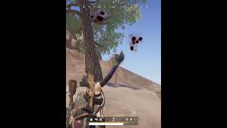 Noyanlar pubg aycem bgmi adambeyim gaming pubgmobile [upl. by Schroer]