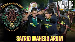 Banteng Ngamok‼️SATRIO MAHESO ARUM Full Kalapan Mberot [upl. by Ymmas]