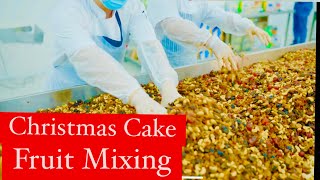 Christmas Cake Fruit Mixing  Soaking the Dry Fruits BIG Christmas Fruitcake  christmascake [upl. by Lahcym933]