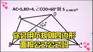 不规则四边形的面积公式一步到位，直接秒杀 [upl. by Doti]