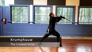 German Longsword Beginner Techniques [upl. by Eissehc]