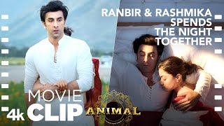 ANIMAL SCENE 6 Ranbir amp Rashmika Spends the Night Together😊Ranbir K RashmikaSandeep VBhushan K [upl. by Ollehto]