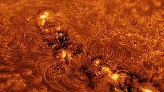 The Sun’s Incredible Activity Through My Telescope  October 4 [upl. by Greenfield49]