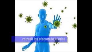 Suplemento RESVERATROL  Beneficios [upl. by Thaxter]